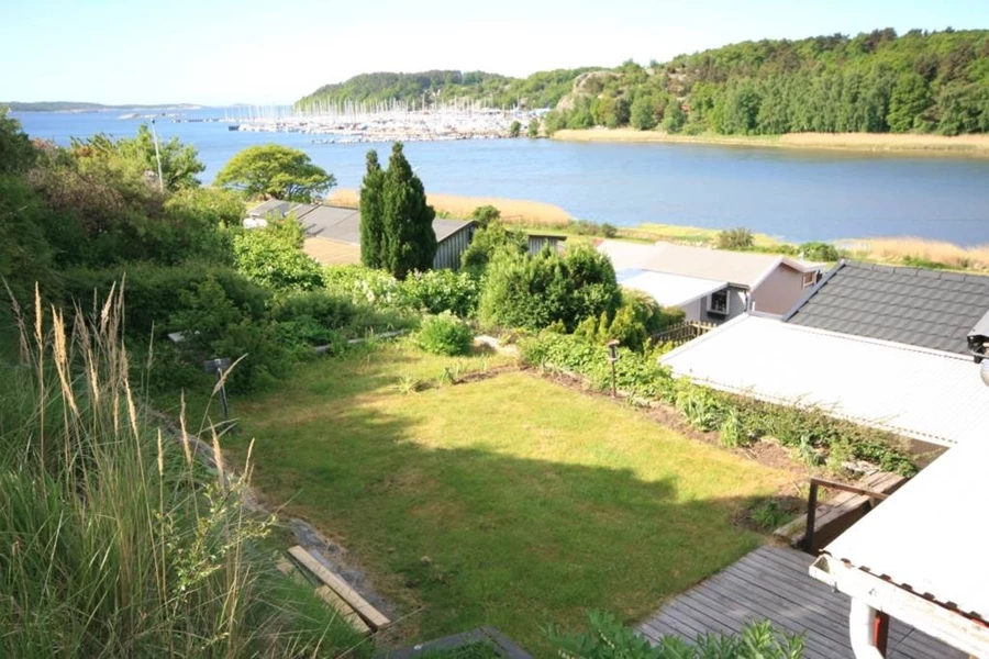 Lågupplöst Gräsmatta