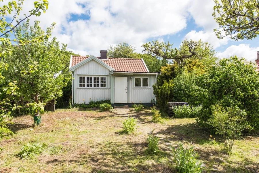 Lågupplöst Uppvuxen tomt