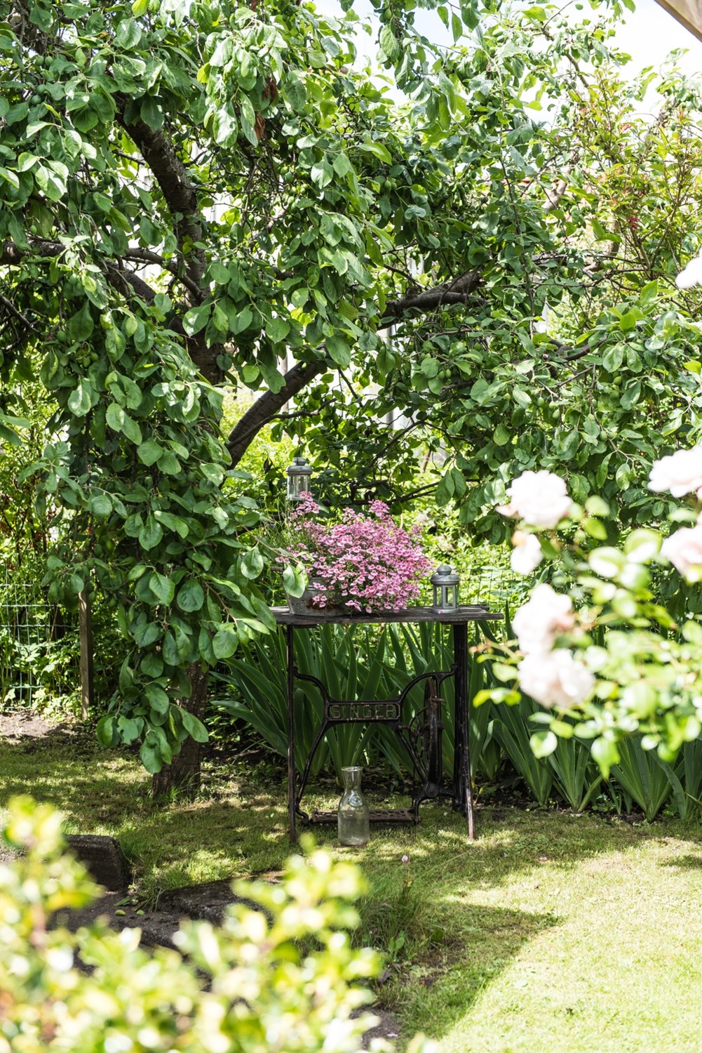 Bild Azaleagången 16