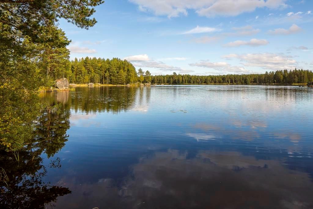 Lågupplöst