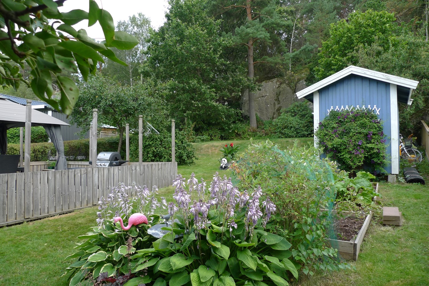 Fina odlingsmöjligheter