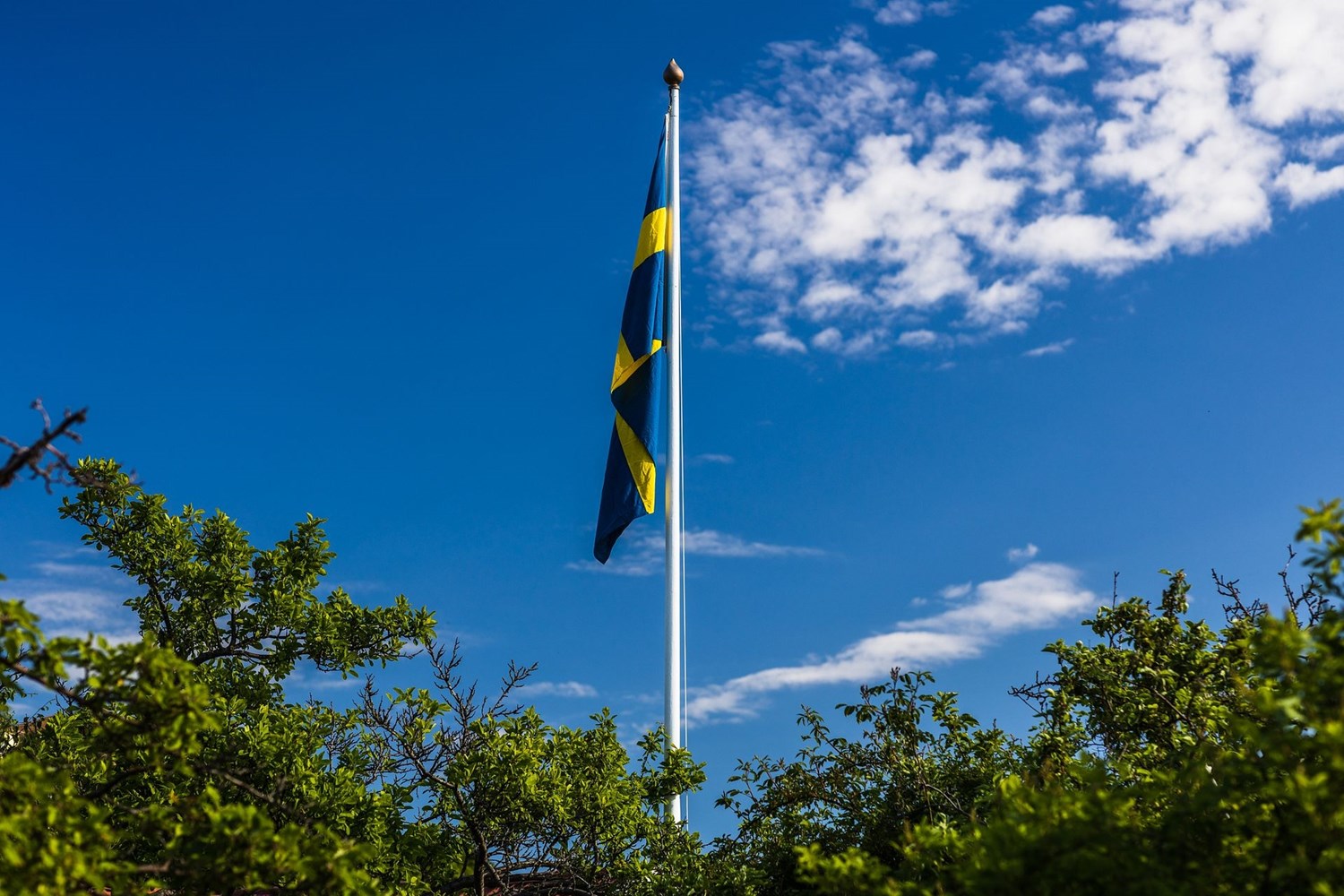 Bild Spenatgången 35
