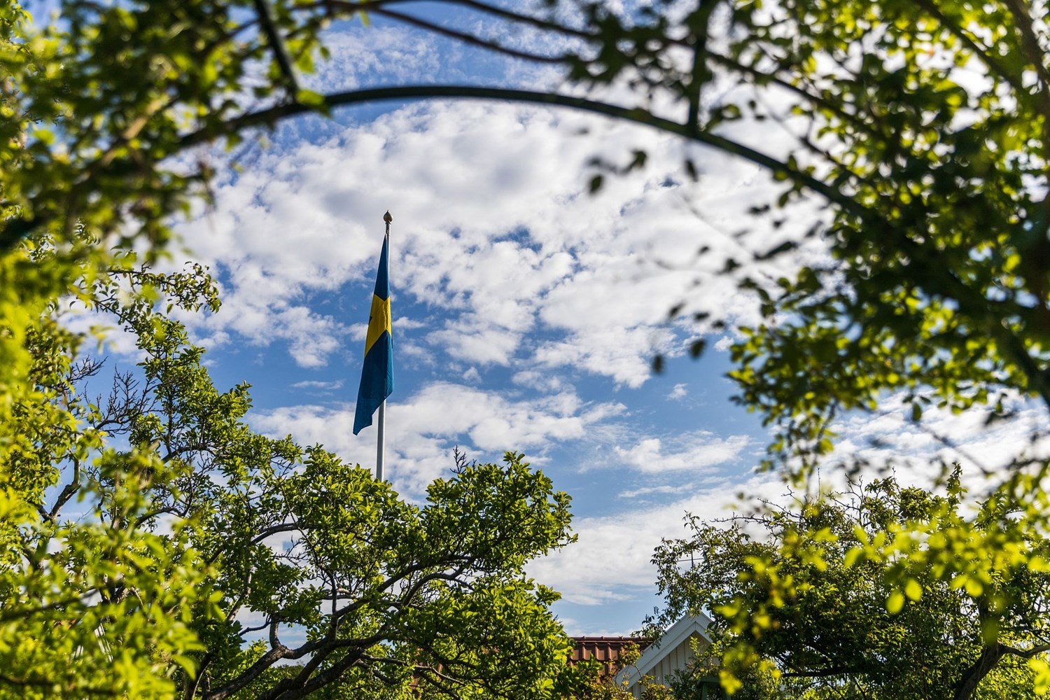 Bild Spenatgången 35
