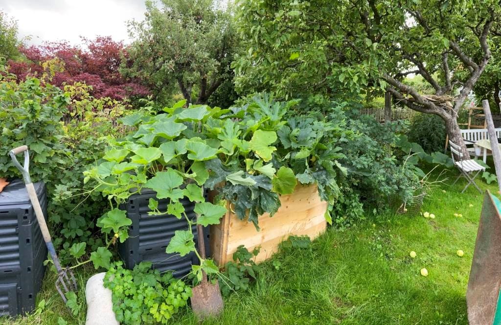 Lågupplöst Sommarbild