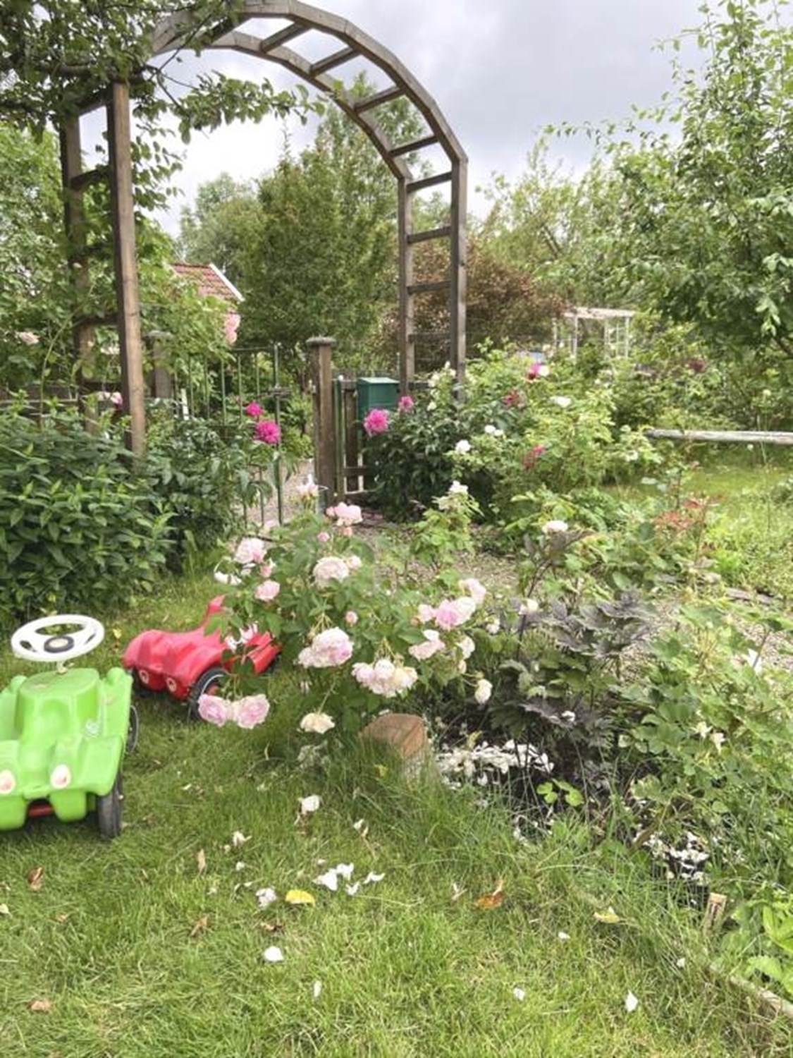 Lågupplöst Sommarbild