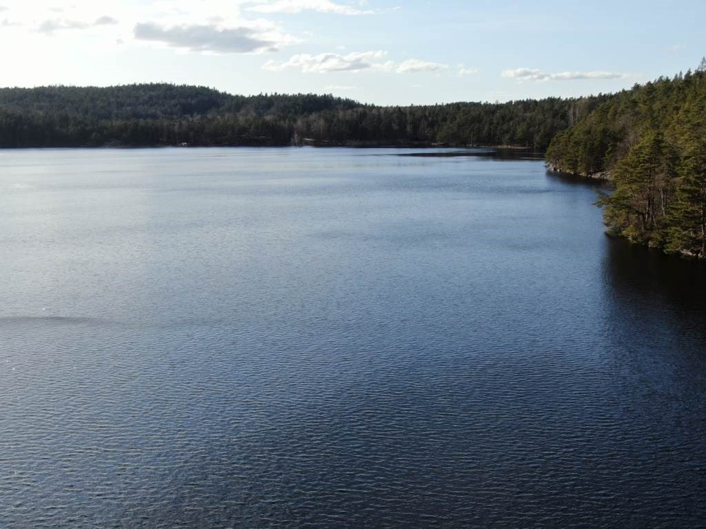 Lågupplöst