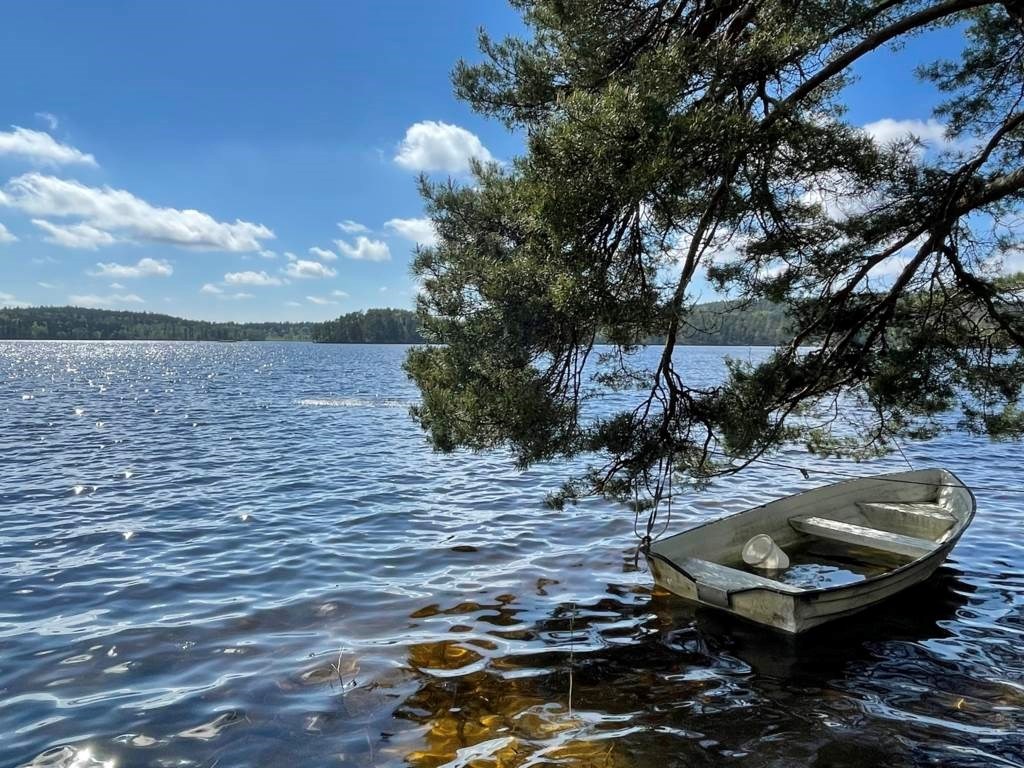 Lågupplöst