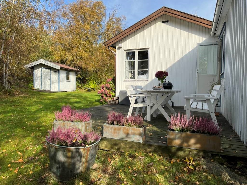 Lågupplöst Soligt västerläge