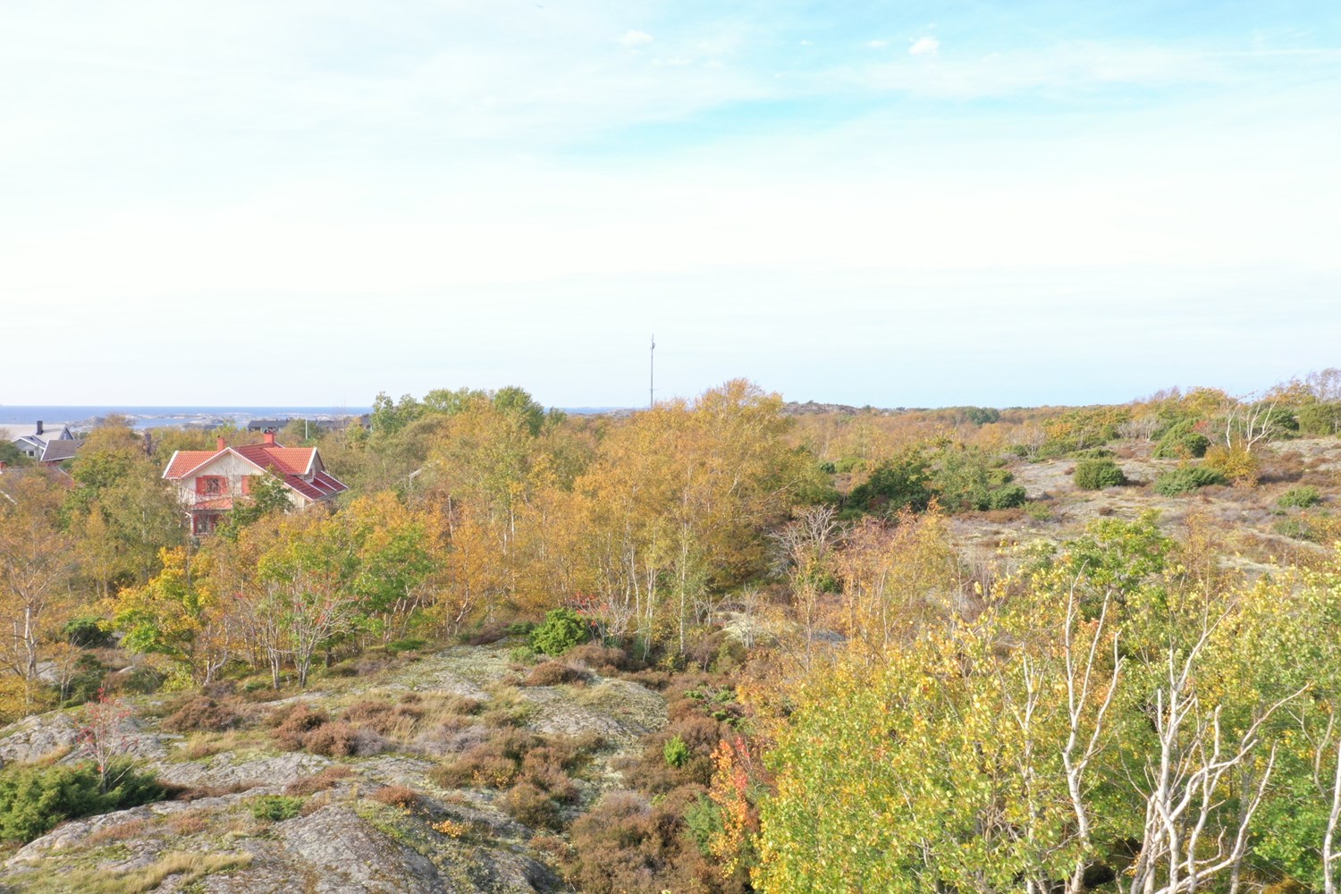 Lågupplöst