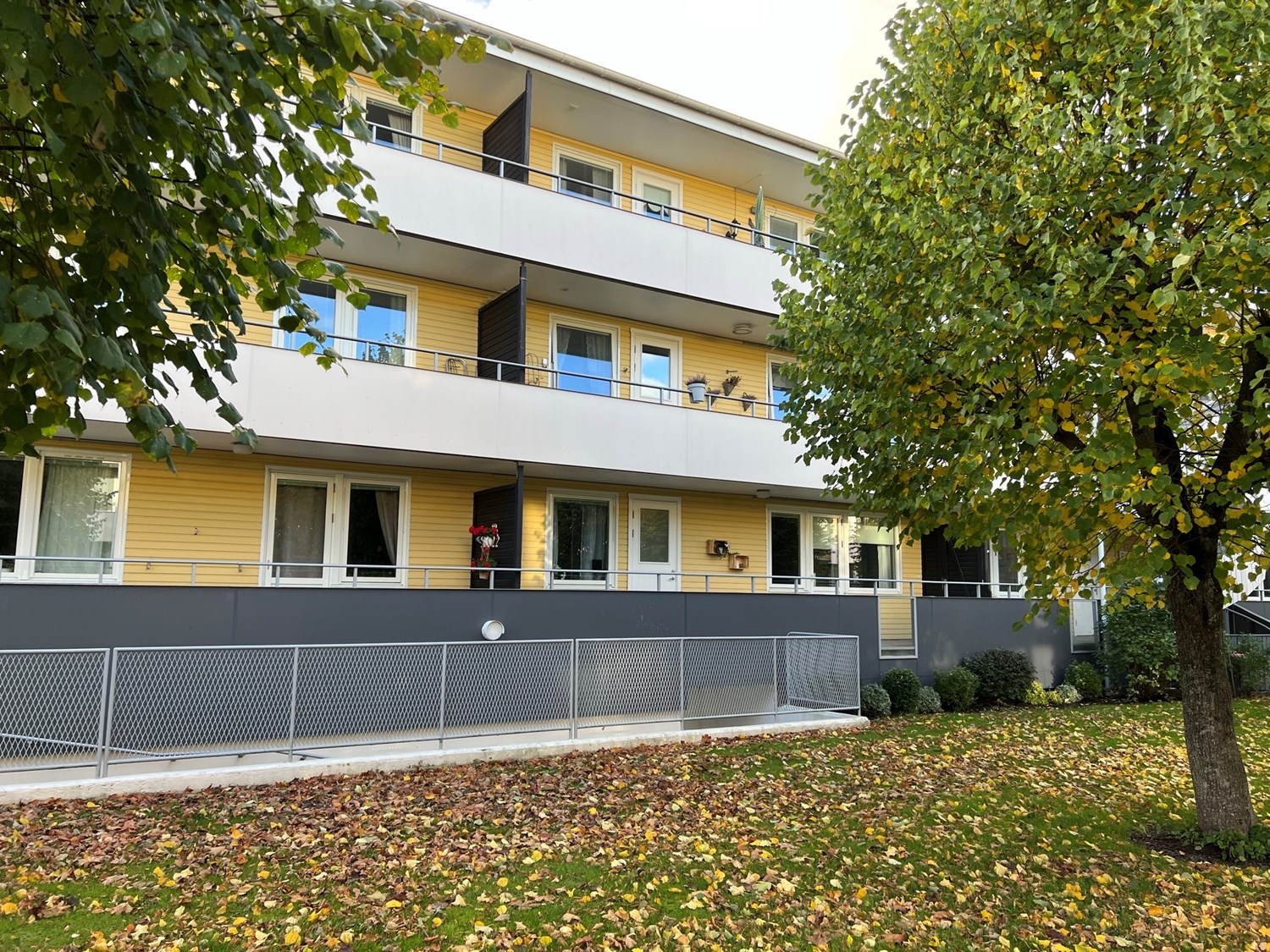 Bild Guldringen 23