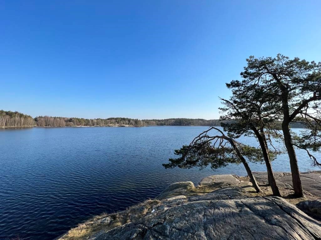 Lågupplöst Sisjön ligger på bekvämt gångavstånd