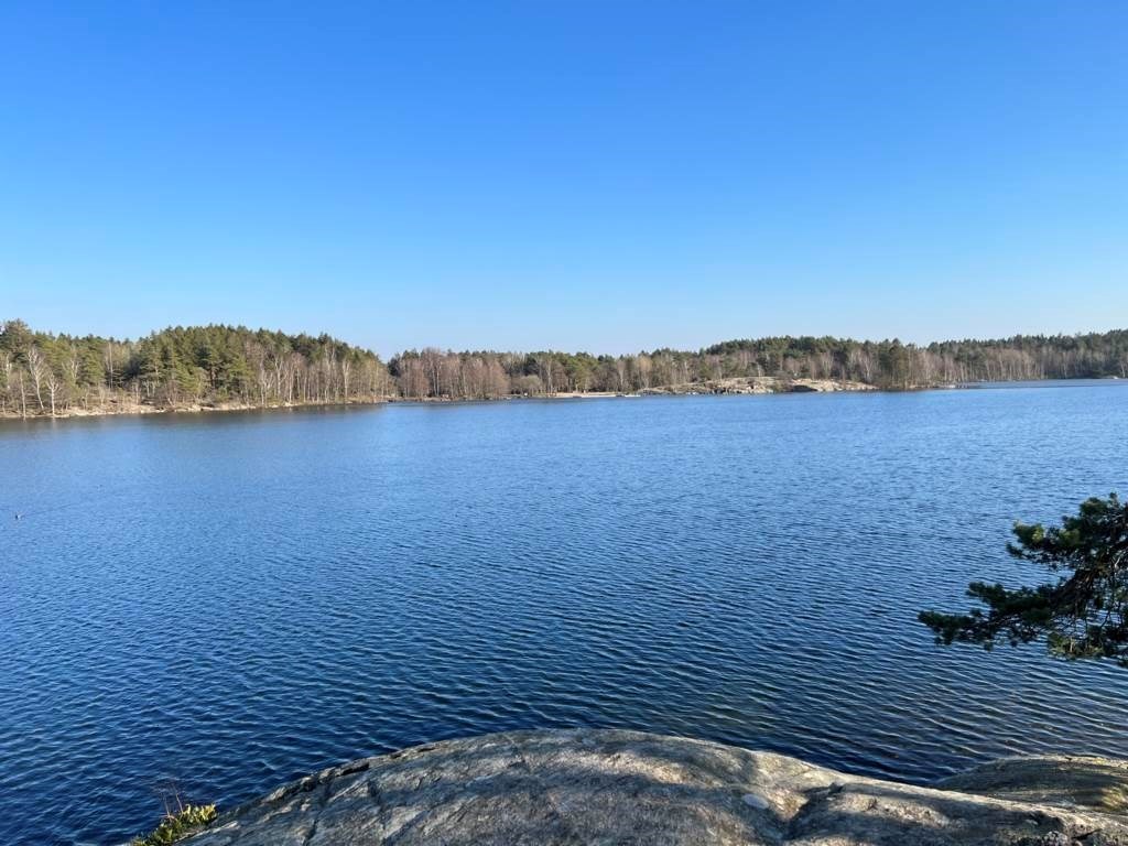 Lågupplöst