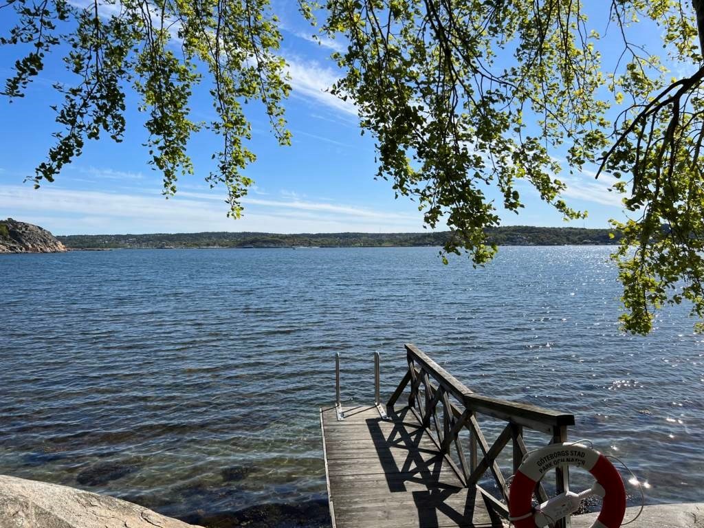 Lågupplöst