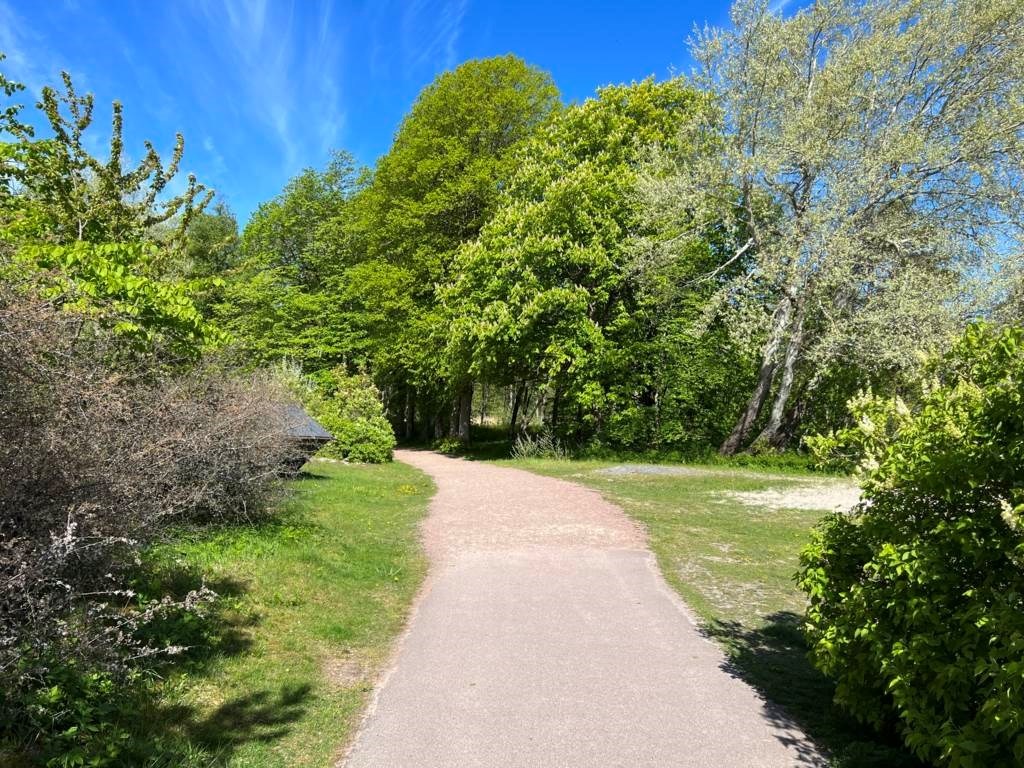 Lågupplöst Kort promenad till stugan