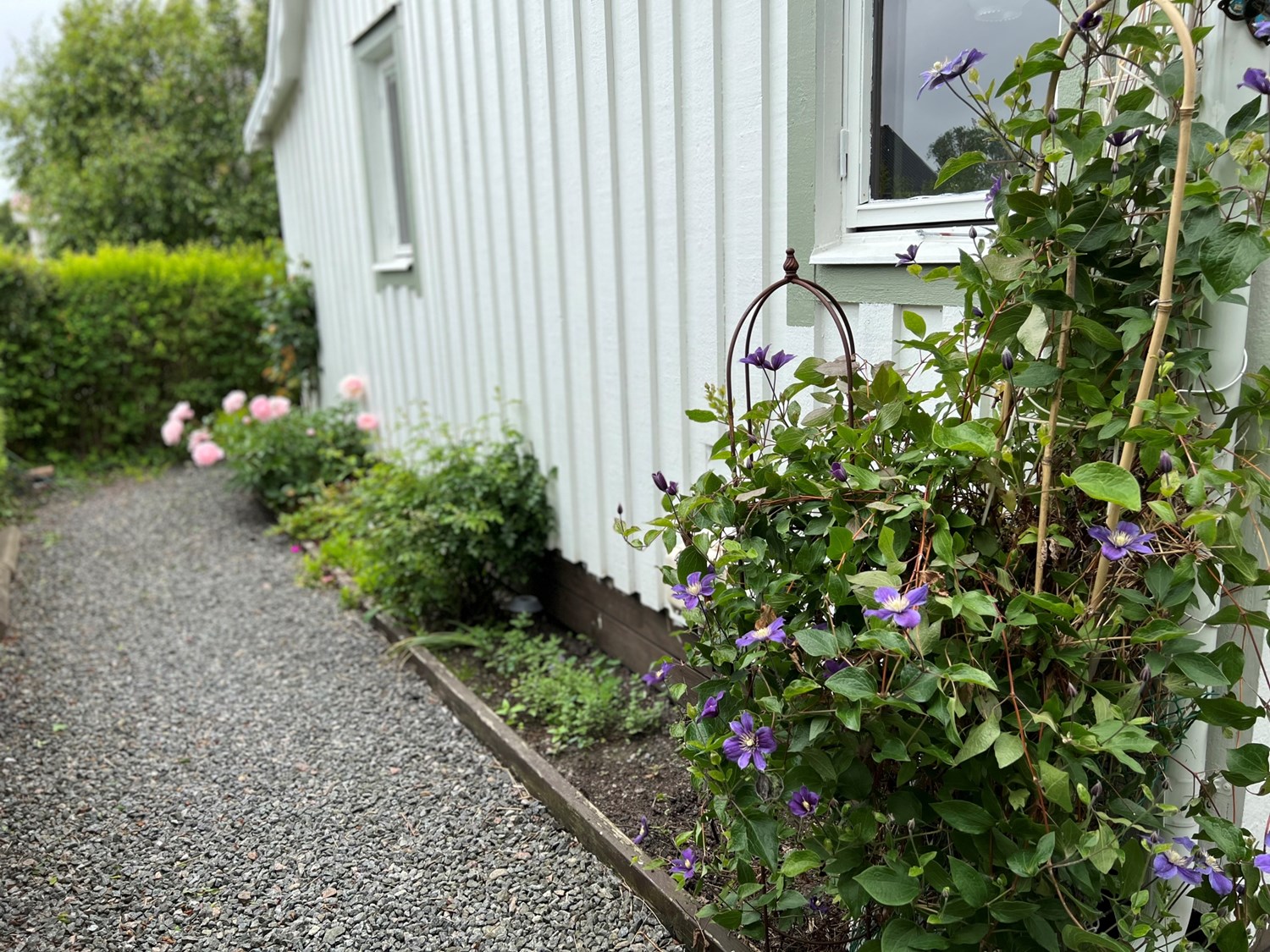Bild Tusenskönegången 300