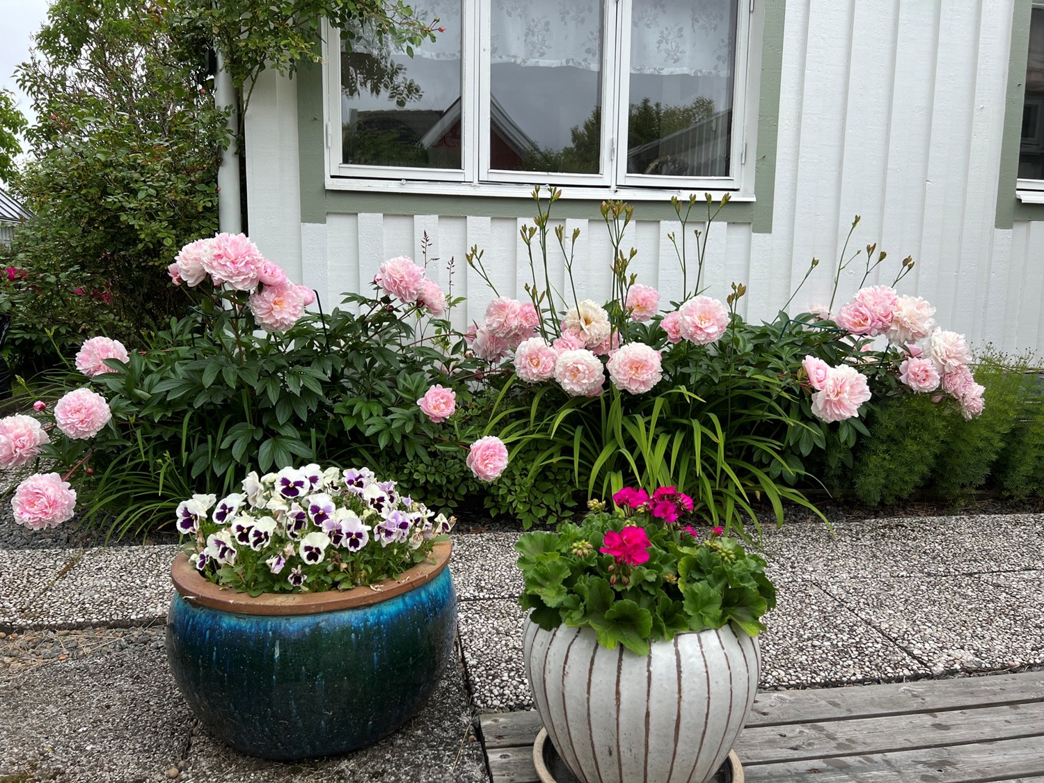 Bild Tusenskönegången 300