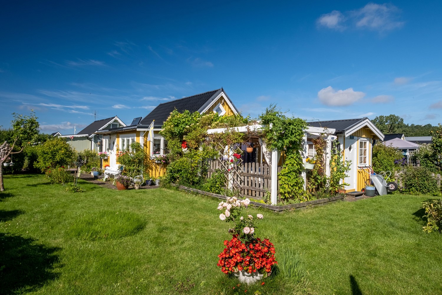 Bild Gulsporregången 249