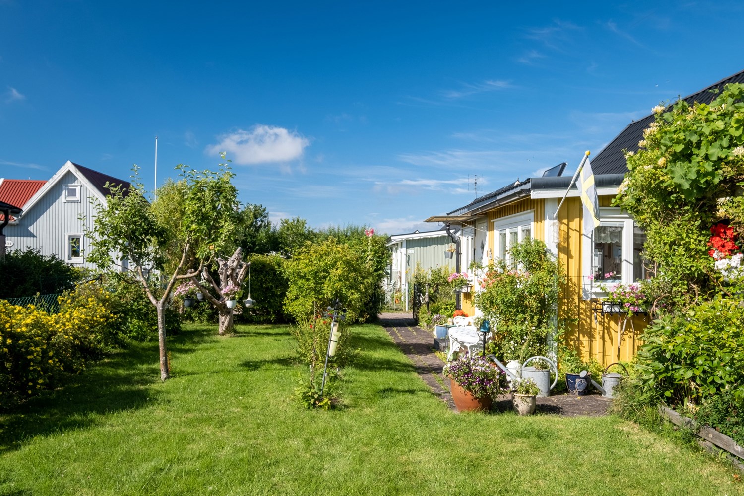 Bild Gulsporregången 249