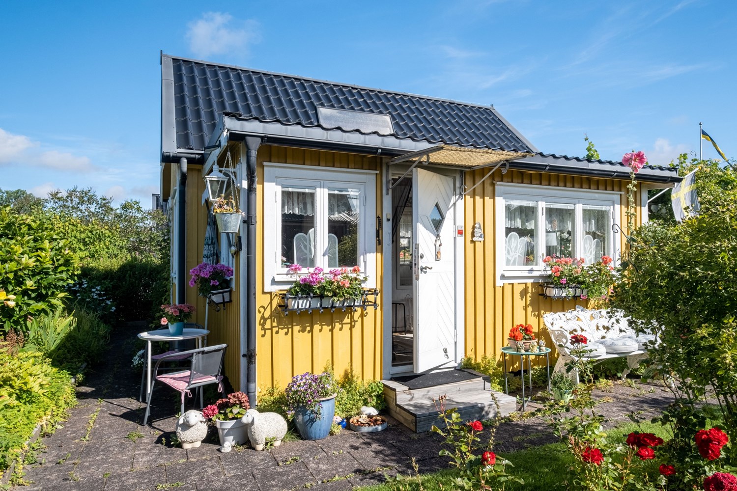 Bild Gulsporregången 249