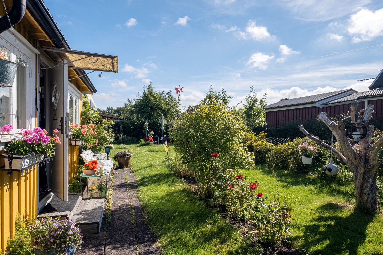 Bild Gulsporregången 249