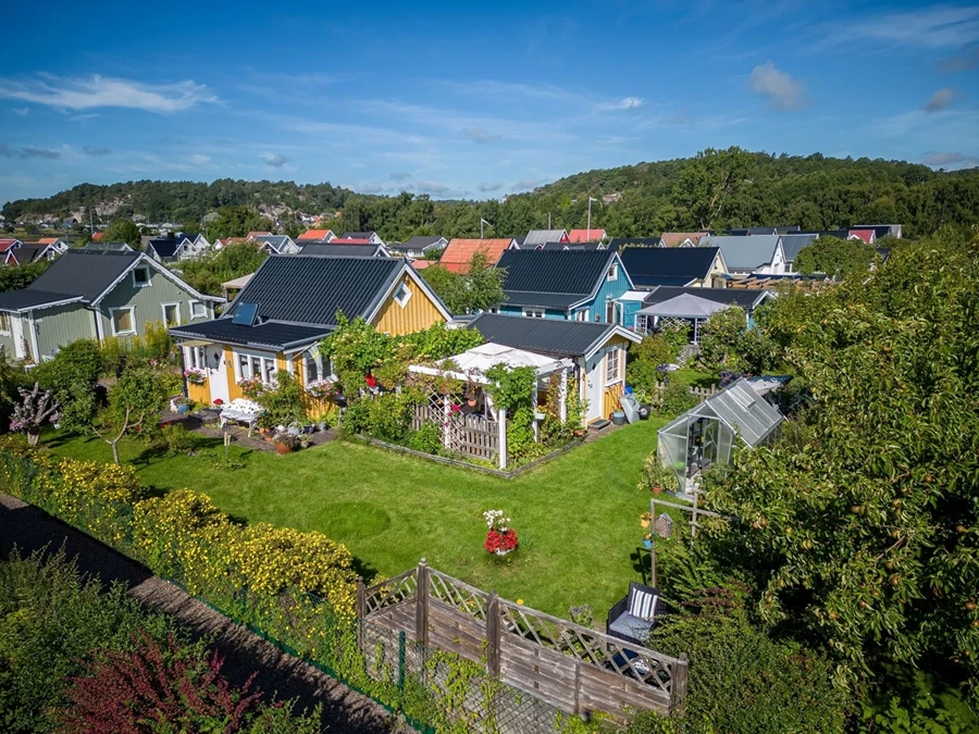 Bild Gulsporregången 249