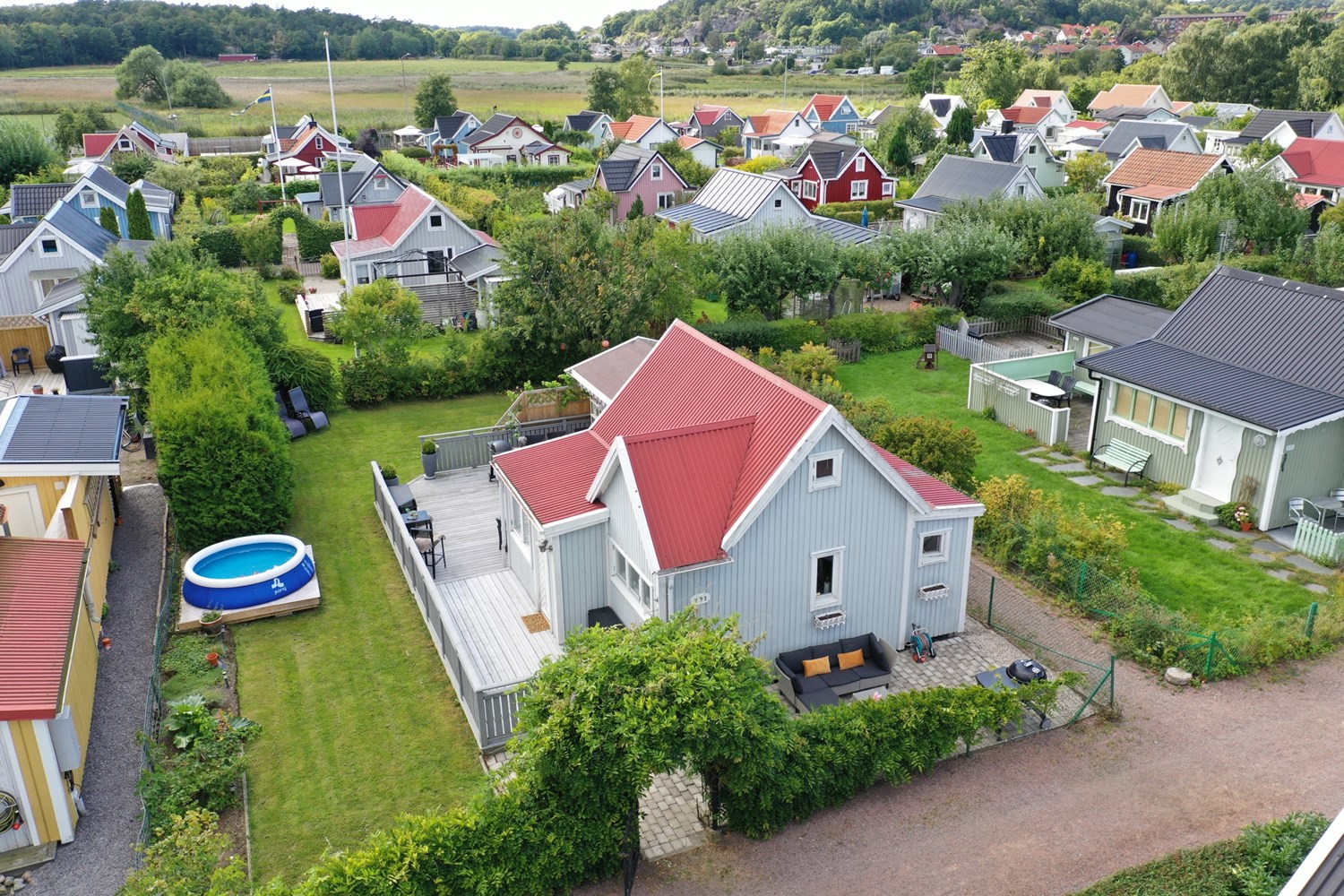 Bild Gulsporregången 231