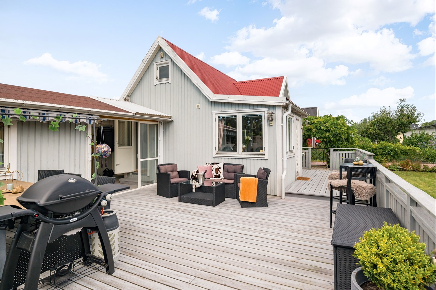 Bild Gulsporregången 231
