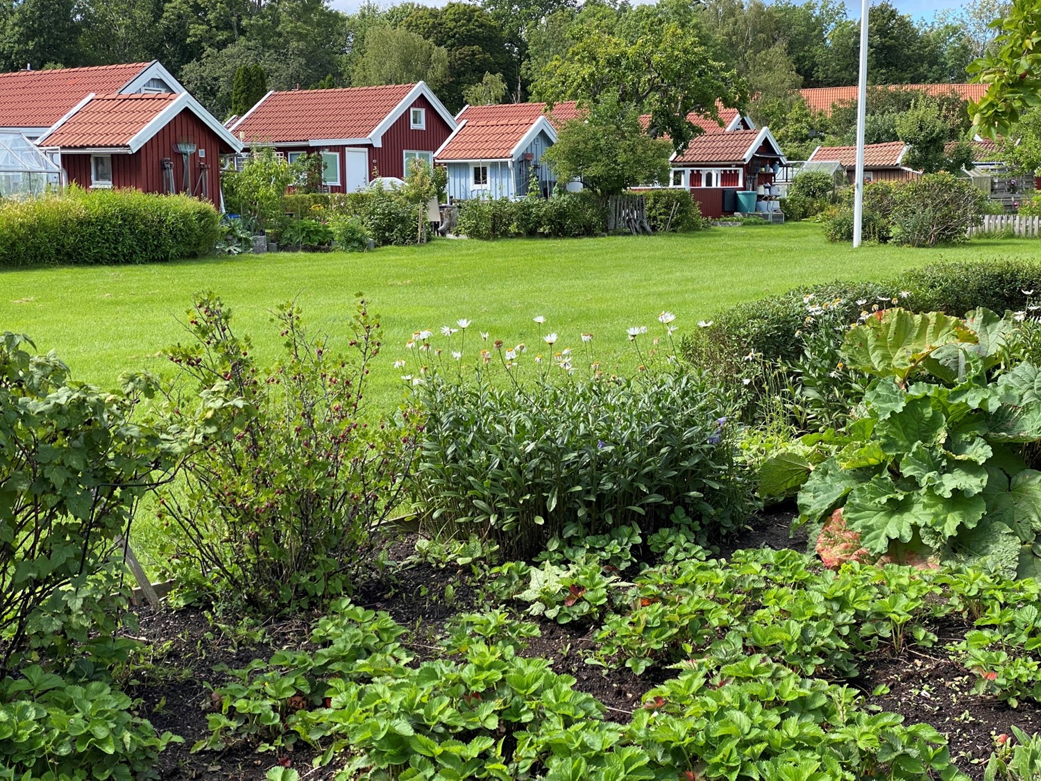Allmänningen
