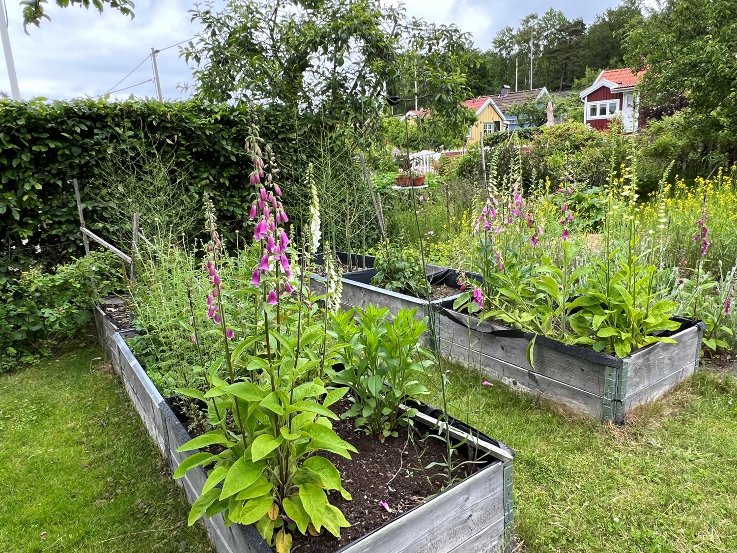 Bild Tofsmesgången 84