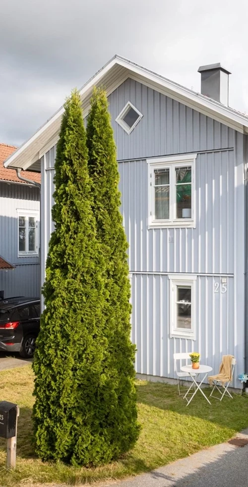 Bruntebacken 25