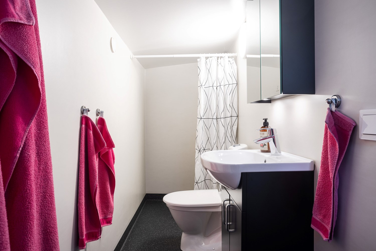 Nyrenoverat WC med dusch