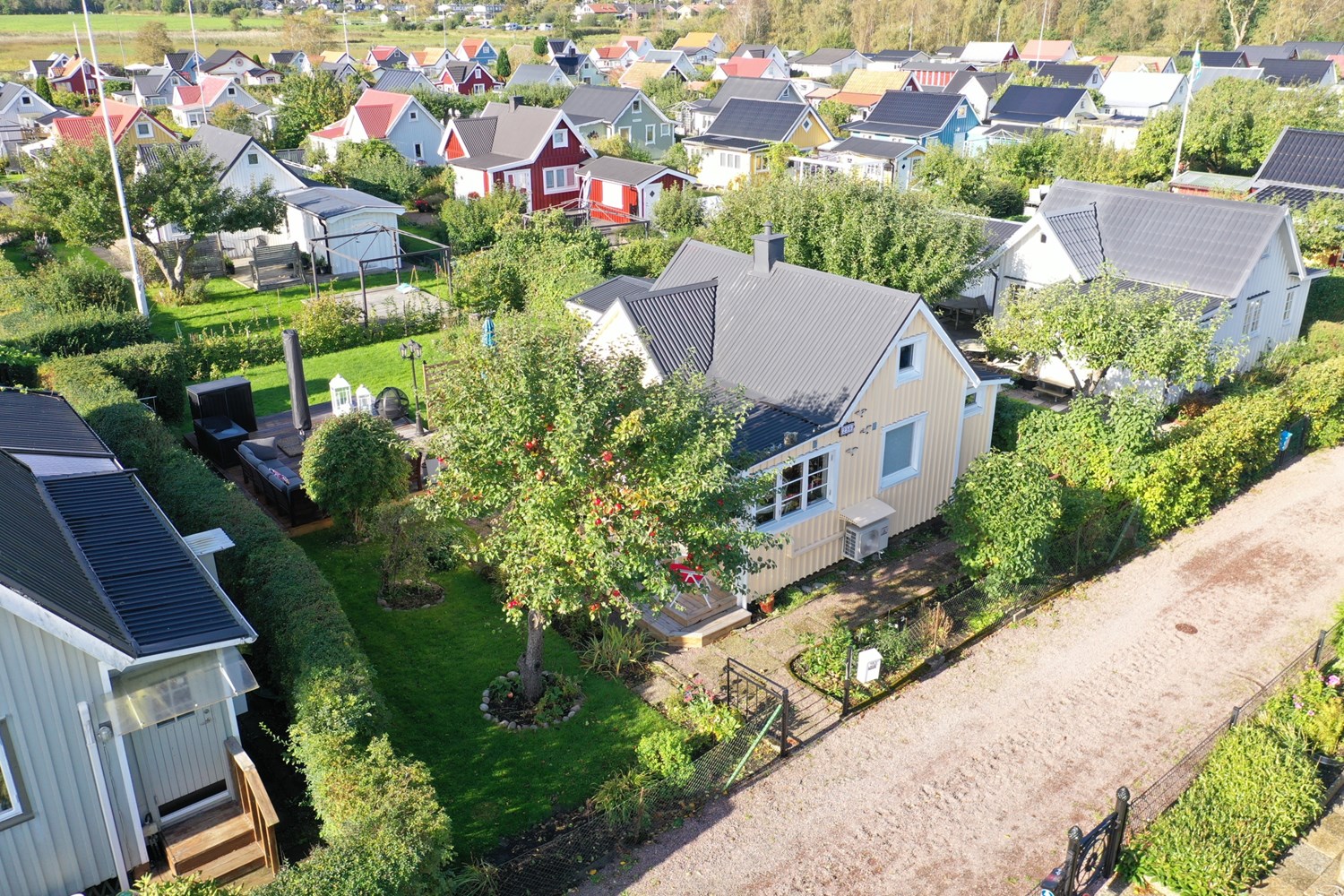 Bild Förgätmigejgången 256