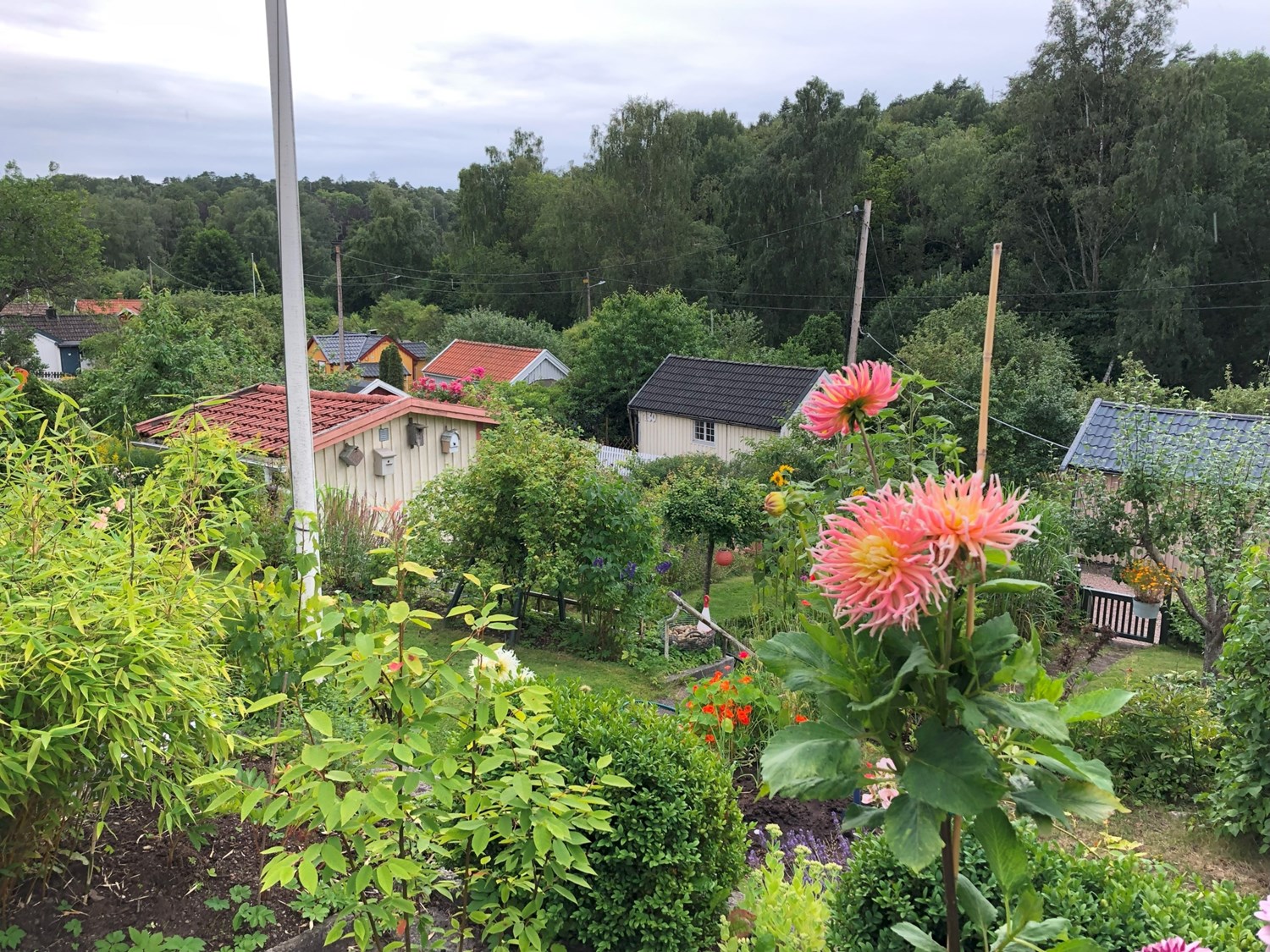 Blomsterprakt