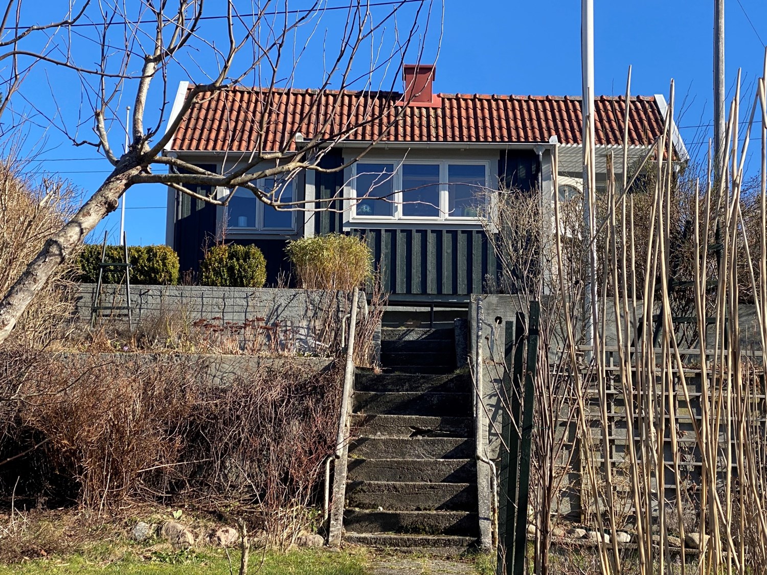 Från Anemongången