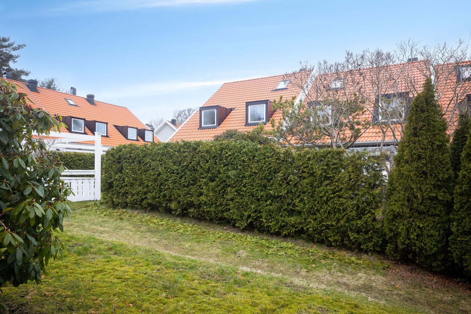 Bild Åsbacken 19