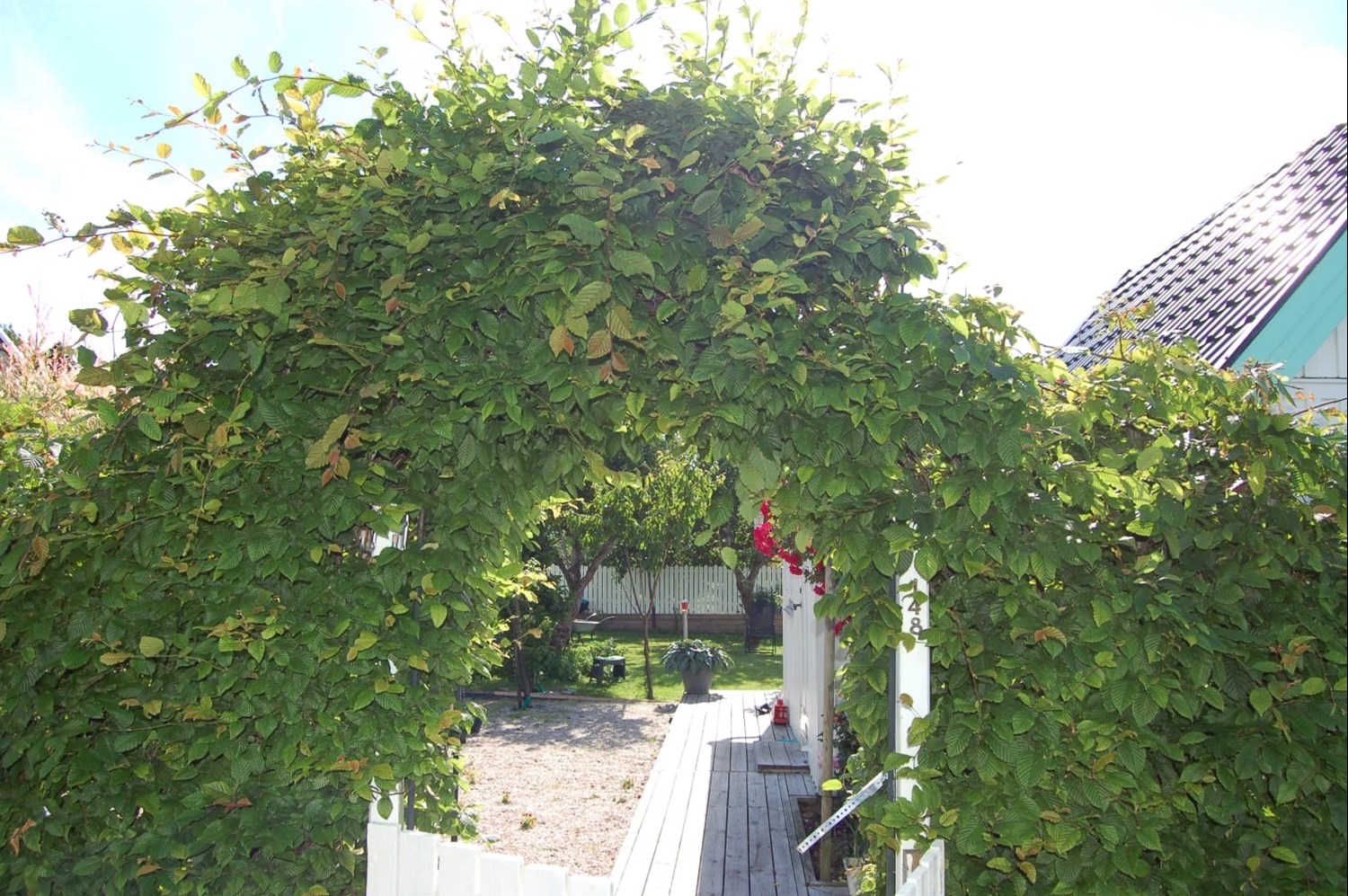 Bild Gulärlegången 148