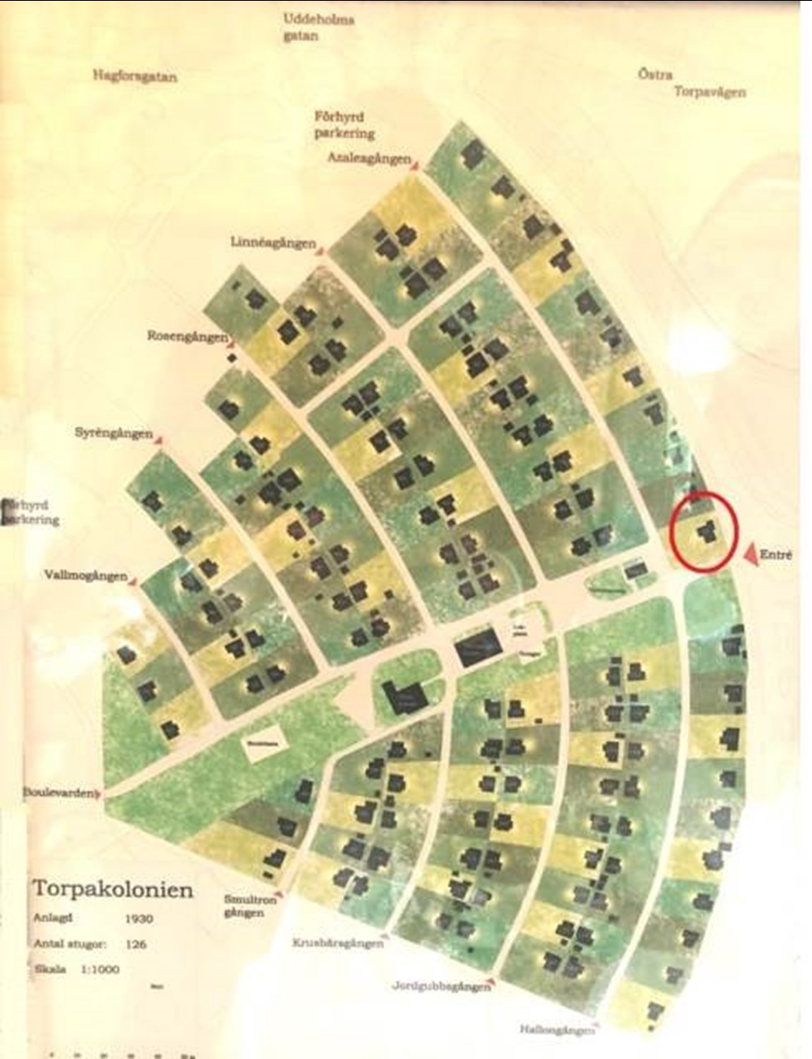 Lågupplöst Omr. karta Torpa
