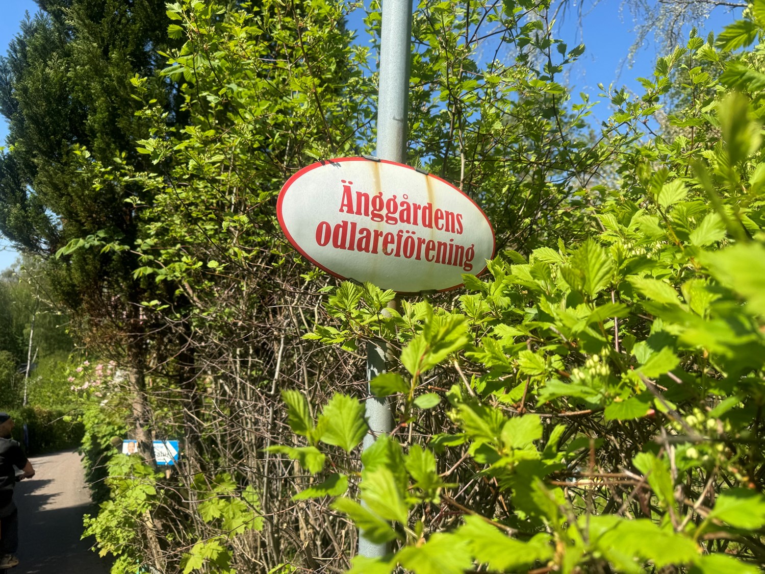 Bild Källsprångsstigen 17