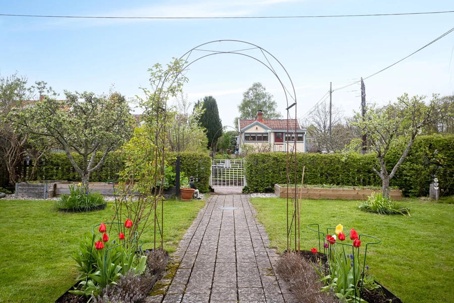 Bild Tofsmesgången 62