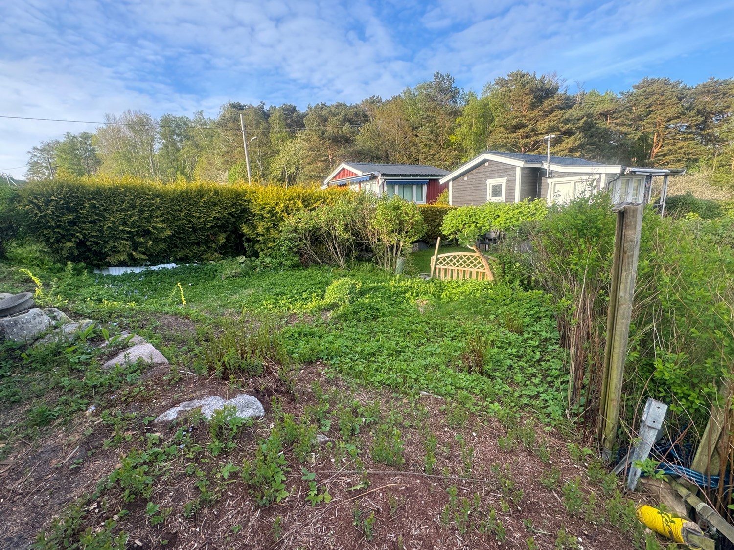Trädgård bredvid stugan