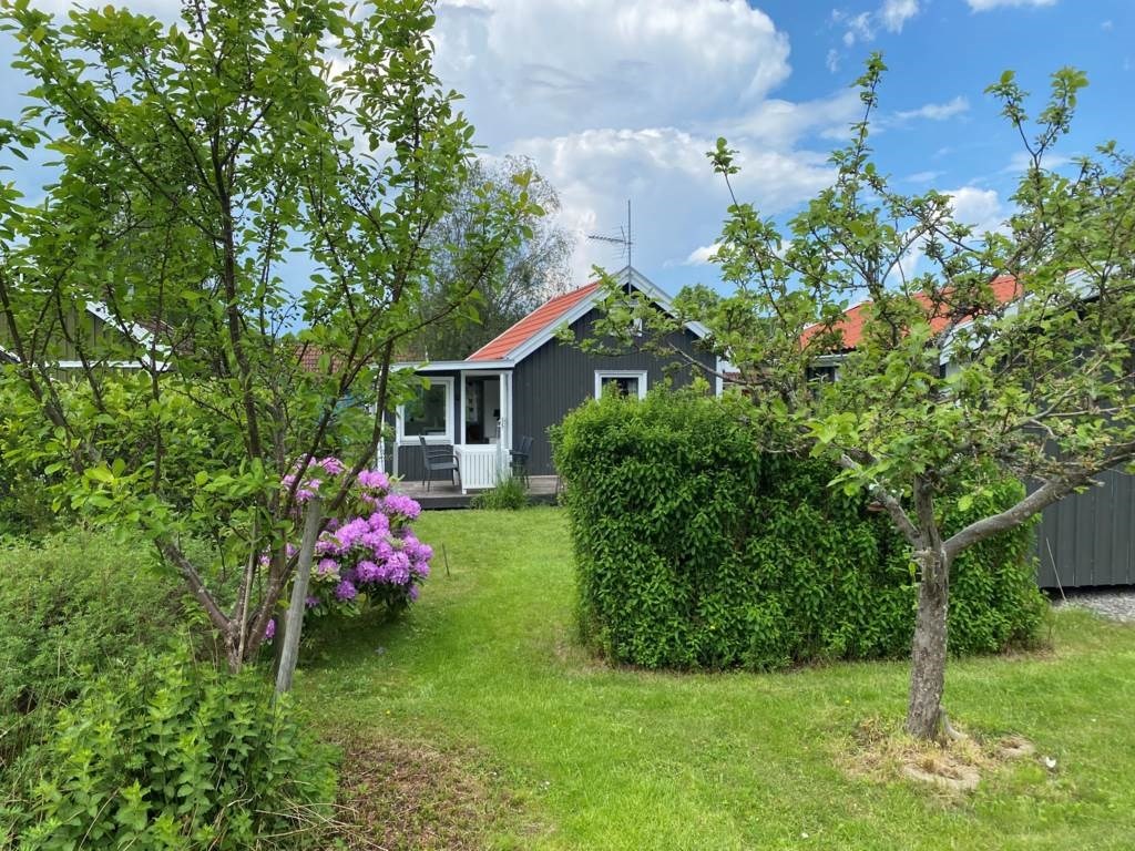 Lågupplöst Del av trädgård