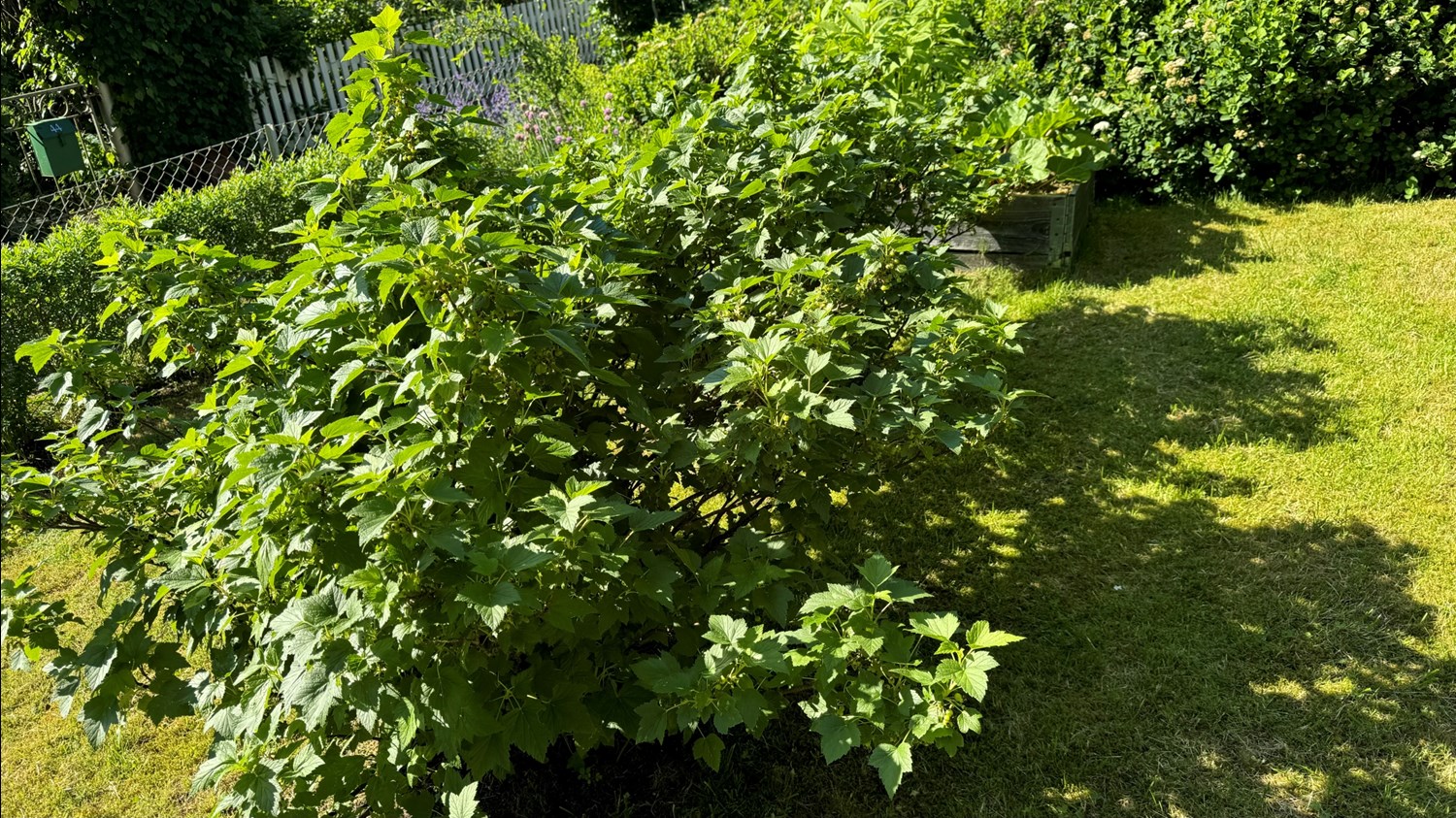 Bild Gråsparvsgången 3