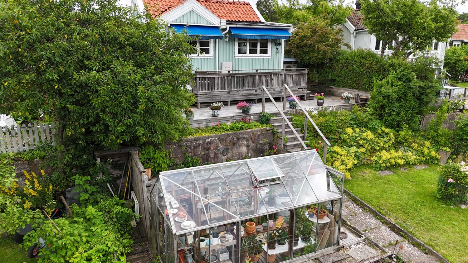 Växthus med fina odlingar av tomater och gurka