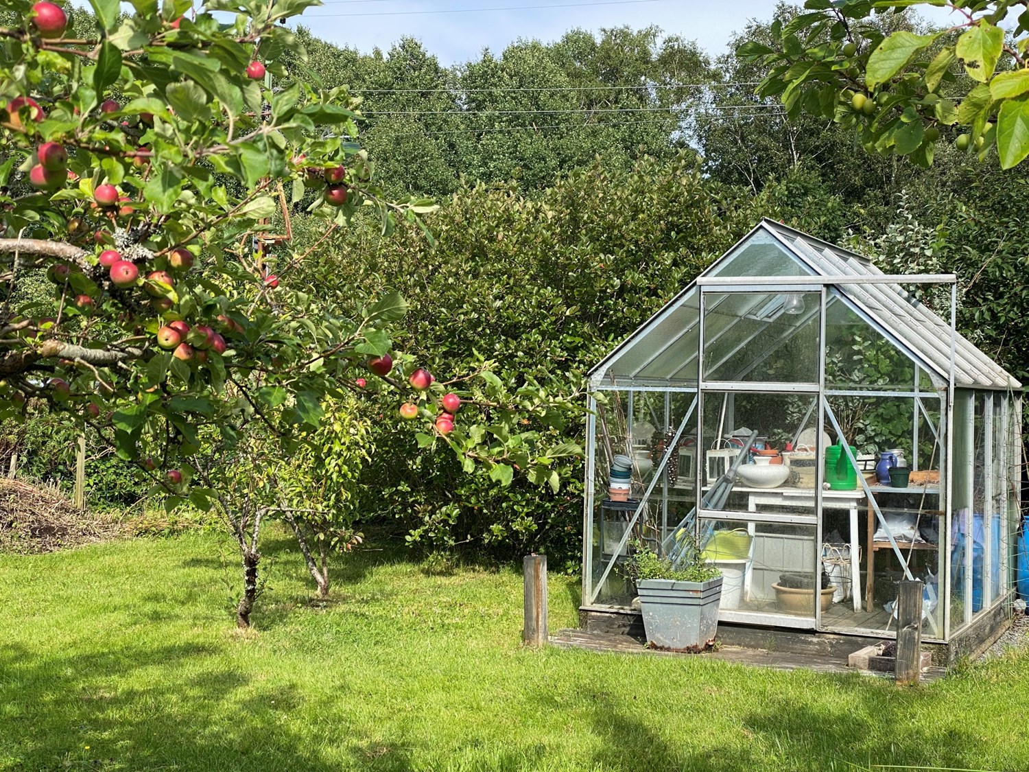 Lågupplöst Flera fruktträd