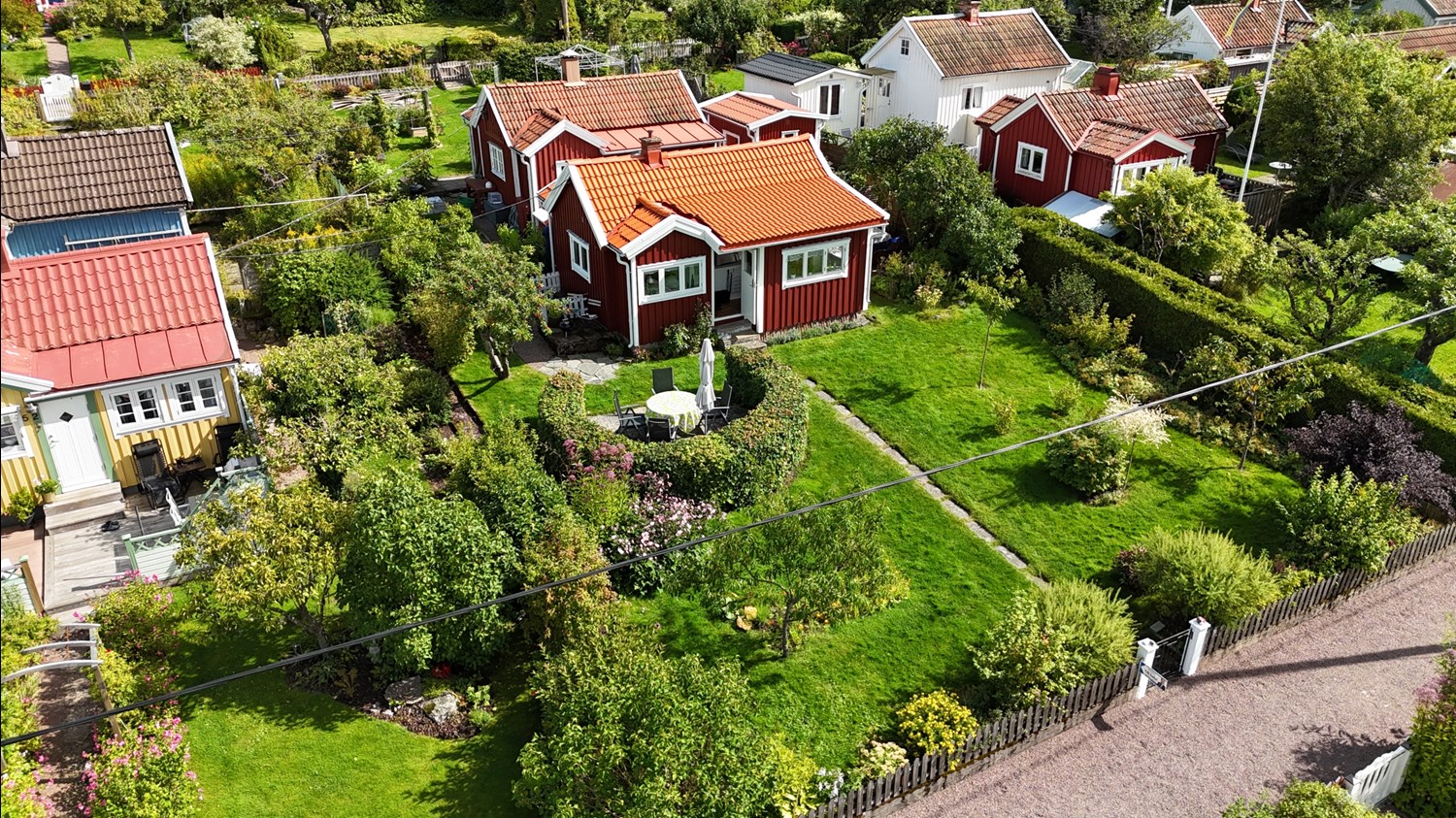 Bild Tofsmesgången 51