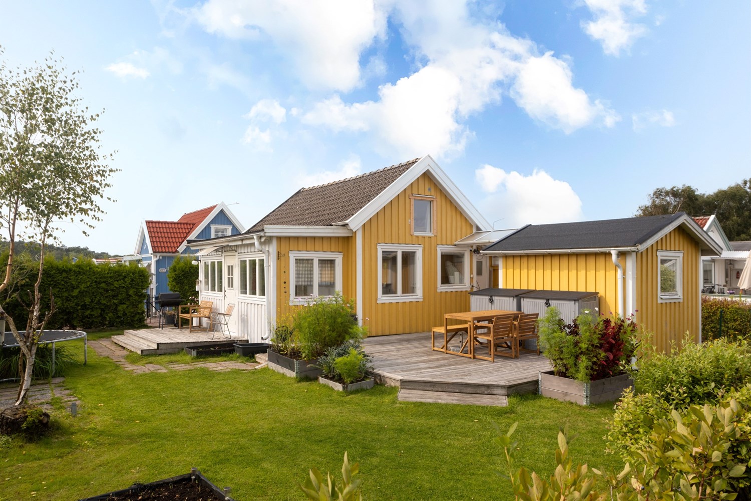 Bild Skogsviolgången 200
