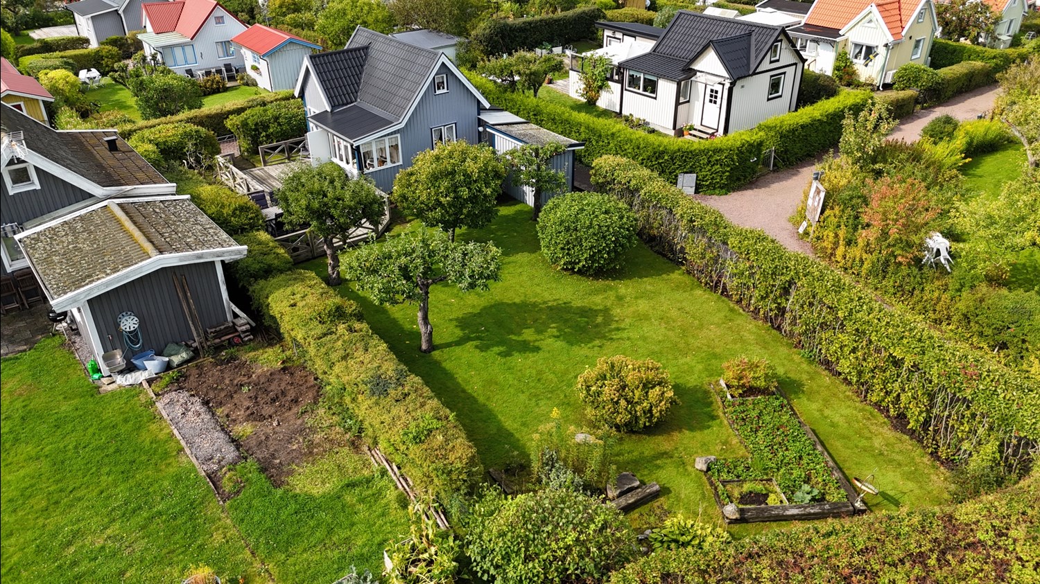 Bild Ängsklockegången 309