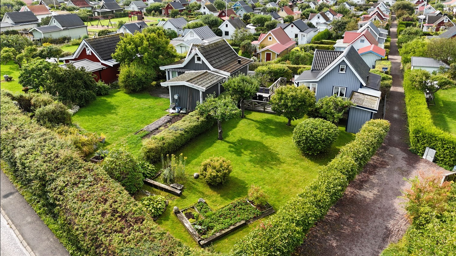Bild Ängsklockegången 309