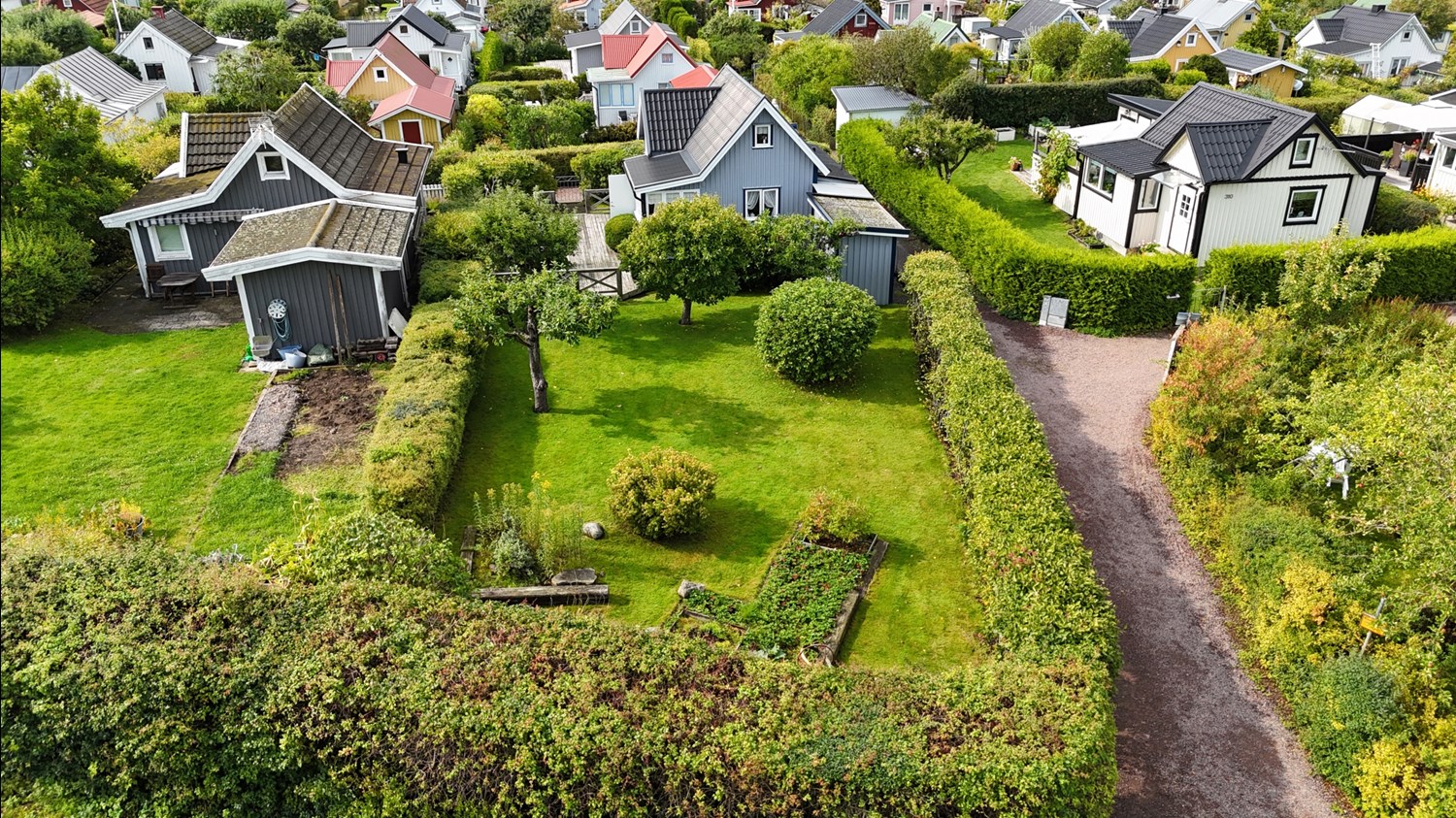 Bild Ängsklockegången 309