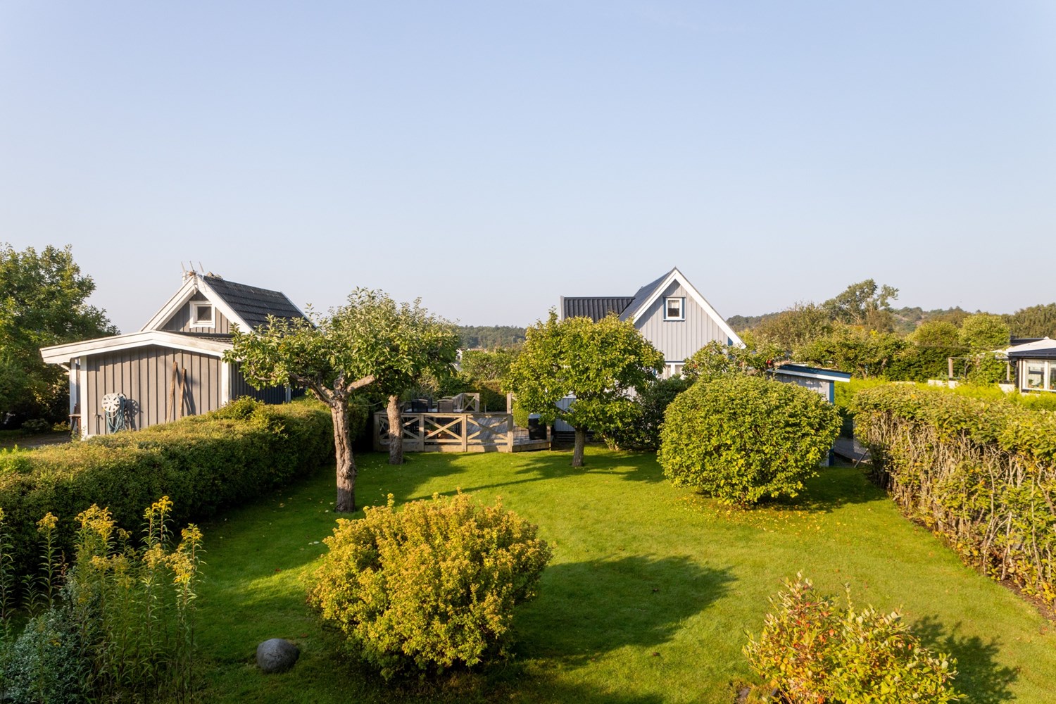 Bild Ängsklockegången 309